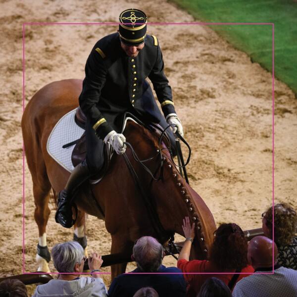 écuyer et son cheval proche du public