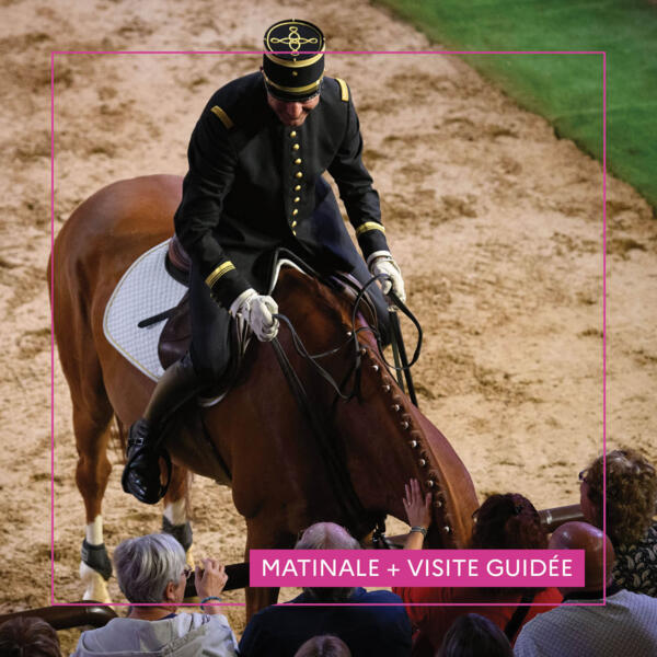 écuyer et cheval proche public